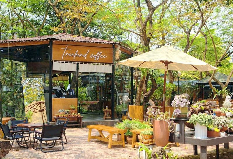 Quan cafe san vuon