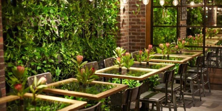Setup quán cafe sân vườn